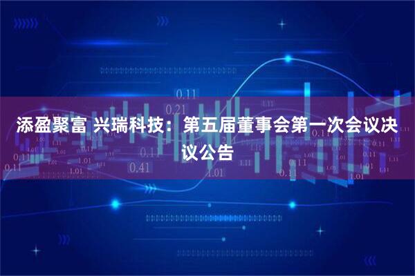 添盈聚富 兴瑞科技：第五届董事会第一次会议决议公告